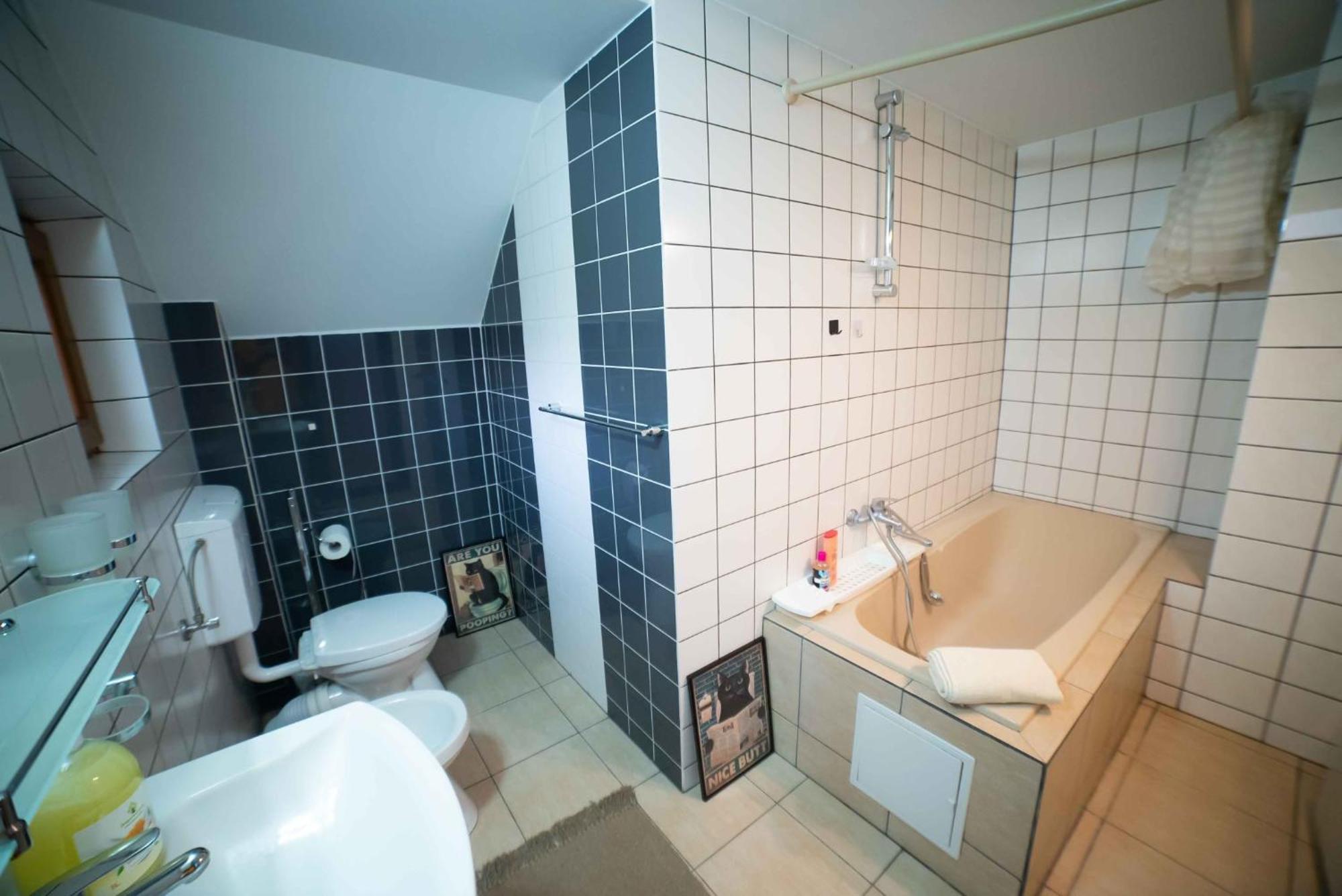 Holiday home Full-house Si Gradina In Bucovina, *